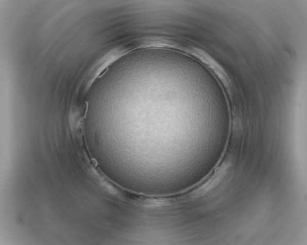 X0000115031385200911091333