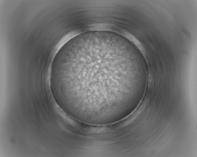 X0000115031386200911091333