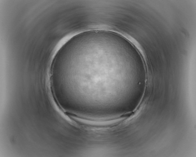 X0000115031389200911091333