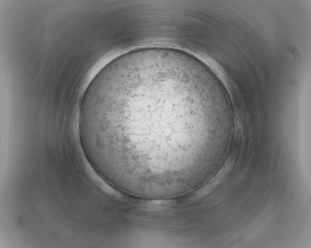 X0000115031390200911091333