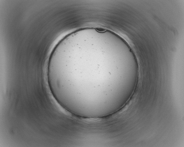 X0000115031392200911091333