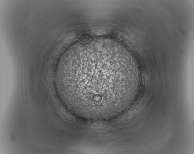 X0000115031393200911091333