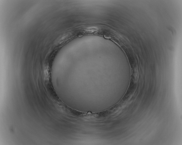 X0000115031394200911091333