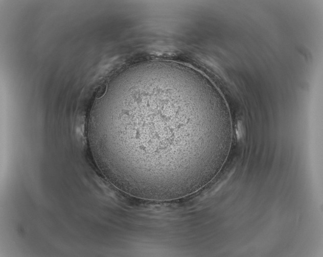X0000115031396200911091333