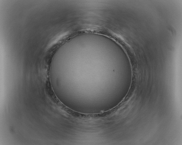 X0000115031399200911091333