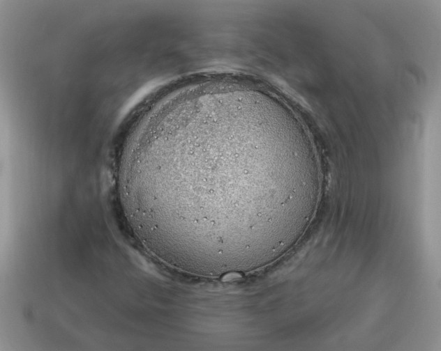 X0000115031400200911091333
