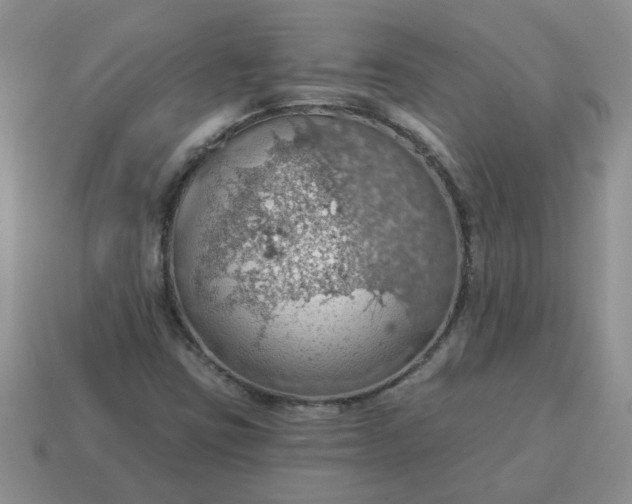 X0000115031403200911091333