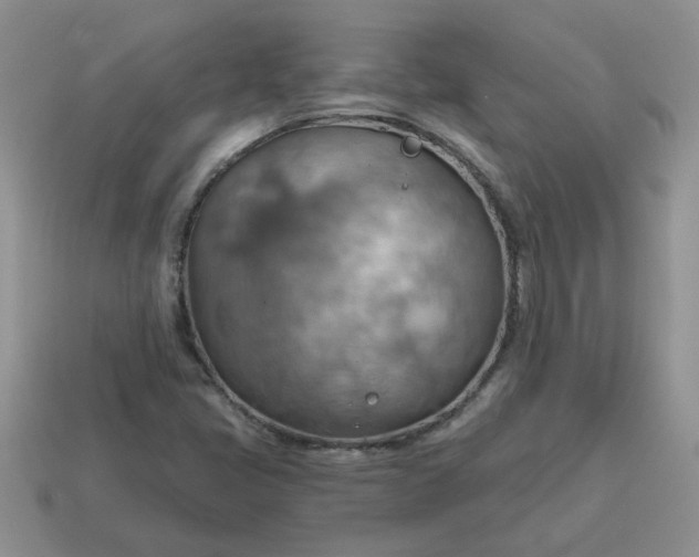 X0000115031405200911091333