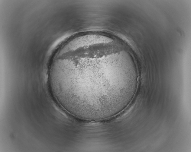 X0000115031406200911091333