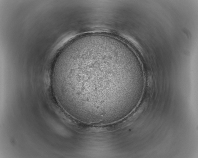 X0000115031407200911091333