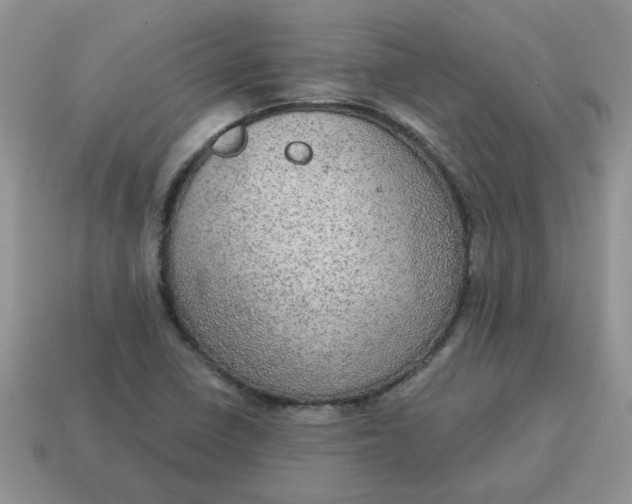 X0000115031410200911091333