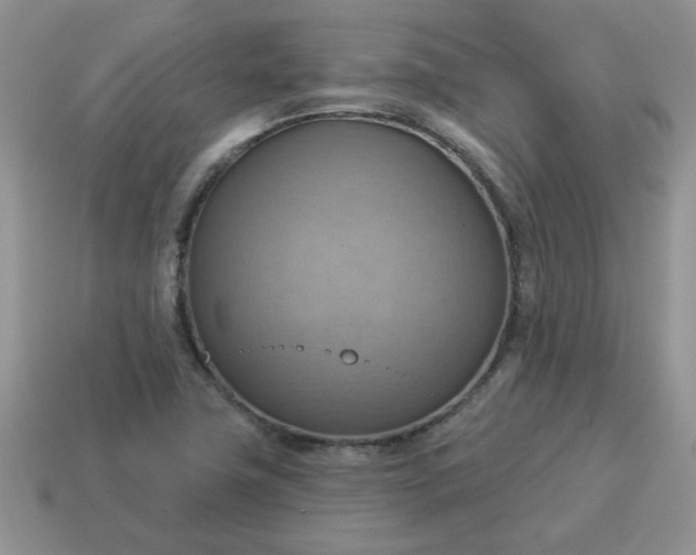 X0000115031411200911091333