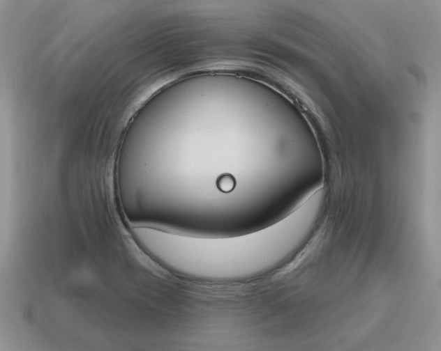 X0000115031417200911091333