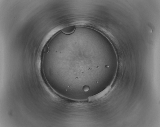 X0000115031418200911091333