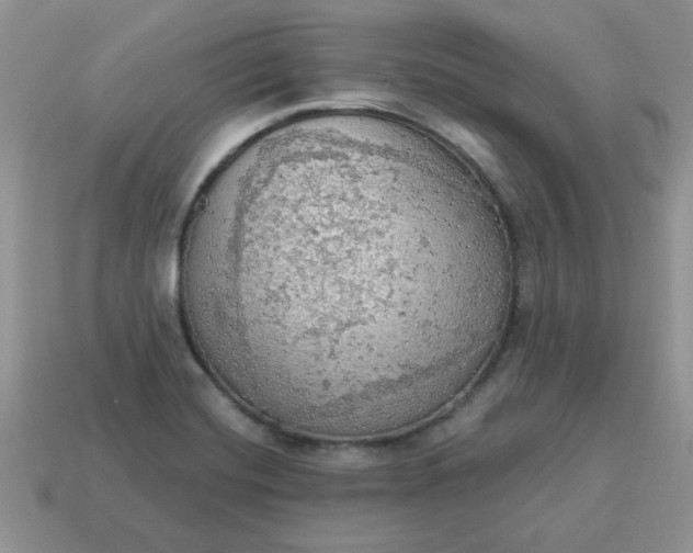 X0000115031420200911091333