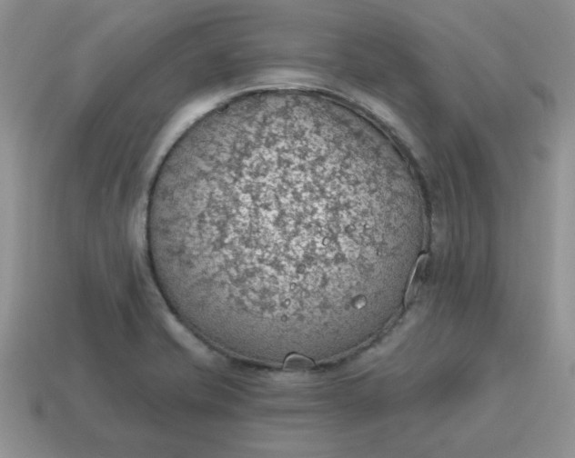 X0000115031421200911091333