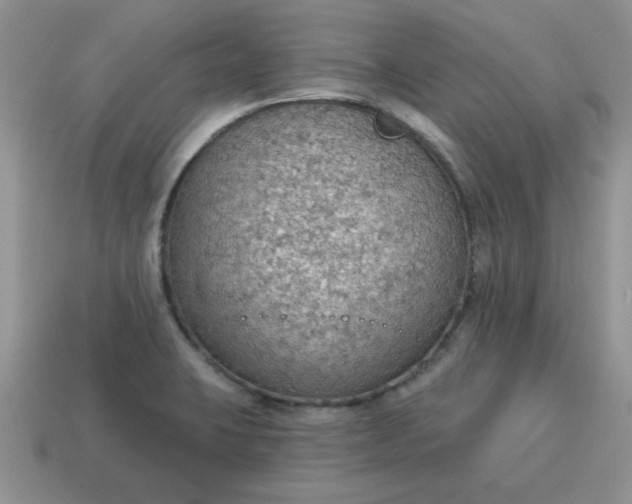 X0000115031423200911091333