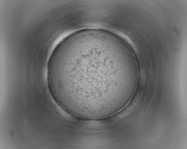 X0000115031424200911091333