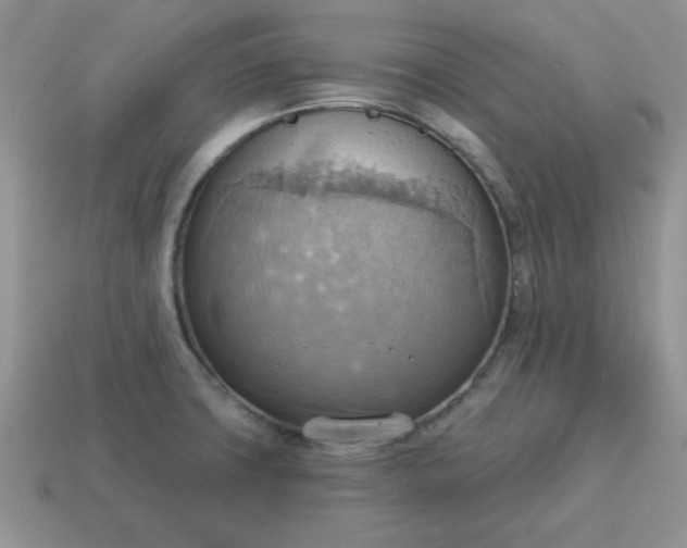 X0000115031427200911091333
