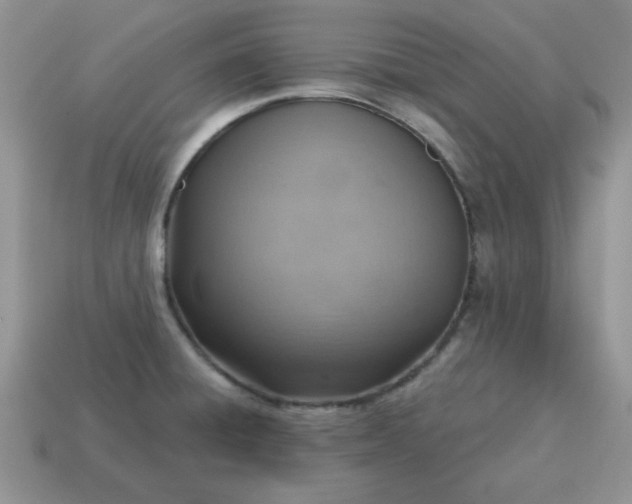 X0000115031428200911091333
