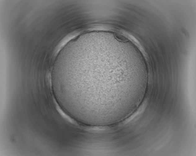 X0000115031433200911091333