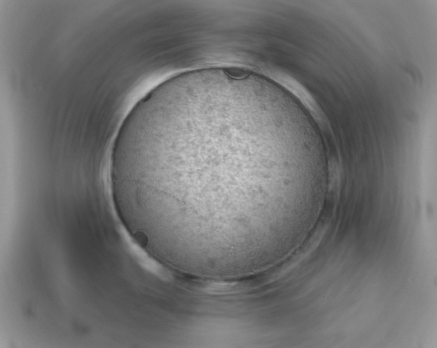 X0000115031439200911091333