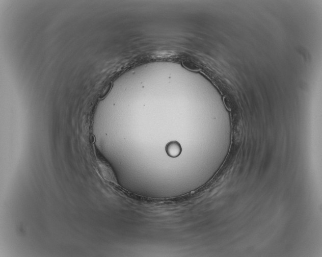 X0000115031441200911091333