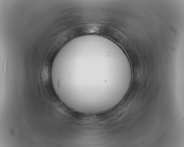 X0000115031442200911091333