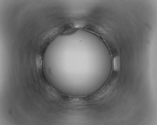 X0000115031443200911091333