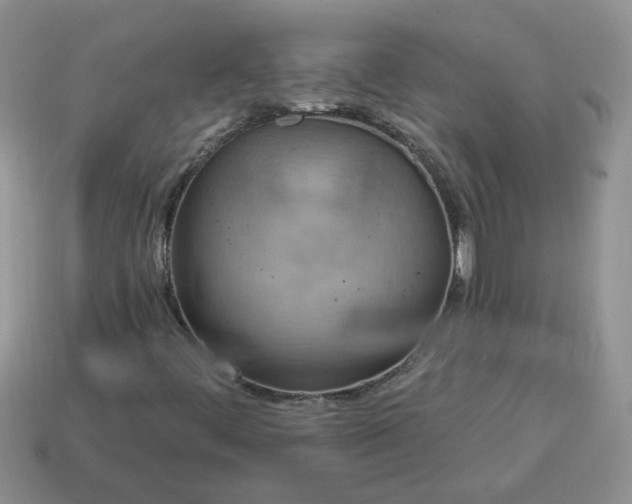 X0000115031444200911091333