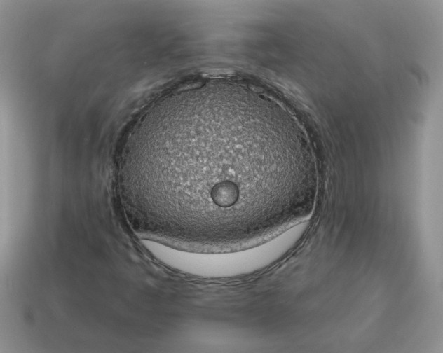X0000115031445200911091333