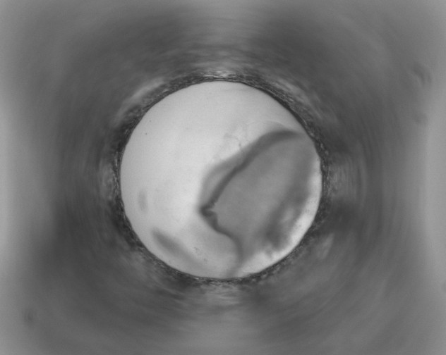 X0000115031446200911091333