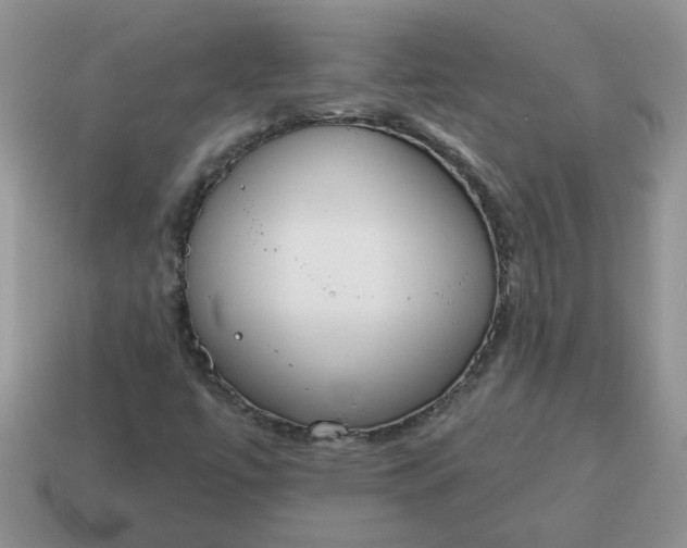 X0000115031447200911091333