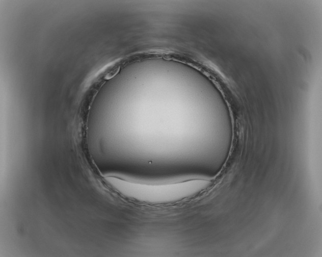 X0000115031448200911091333