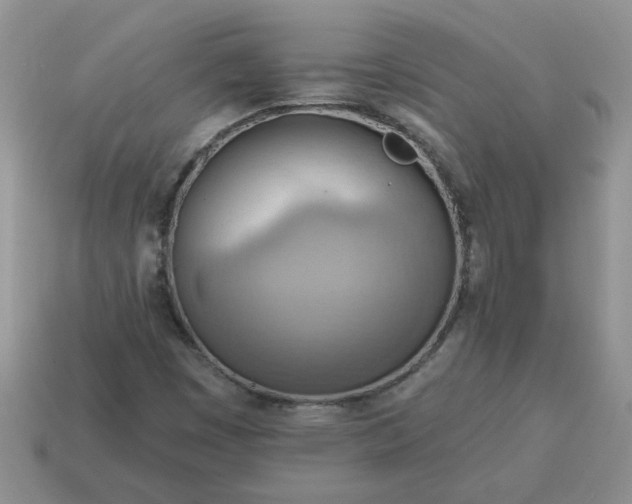 X0000115031449200911091333