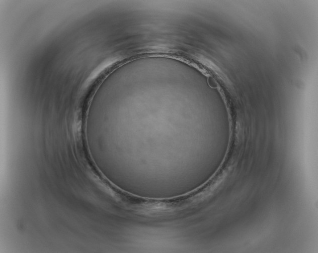 X0000115031450200911091333