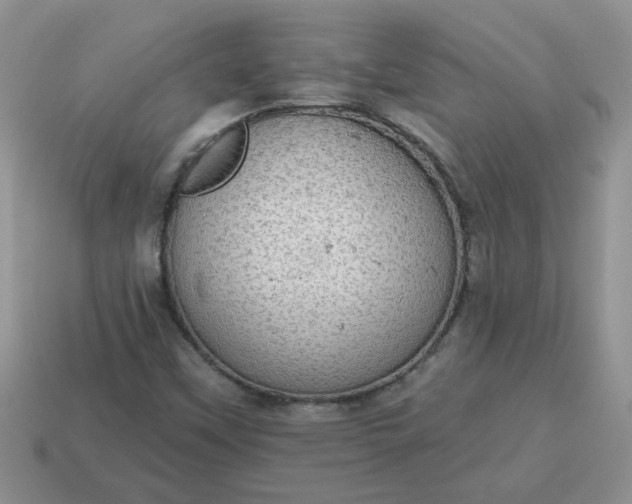 X0000115031451200911091333