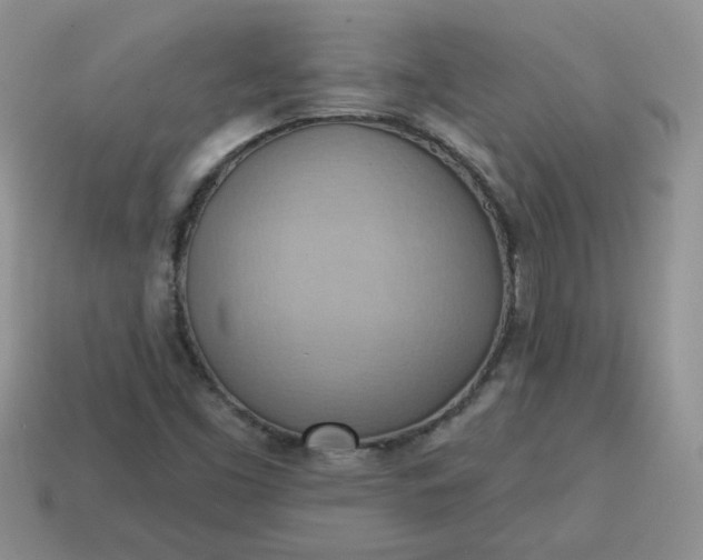 X0000115031453200911091333