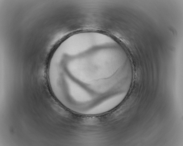 X0000115031454200911091333