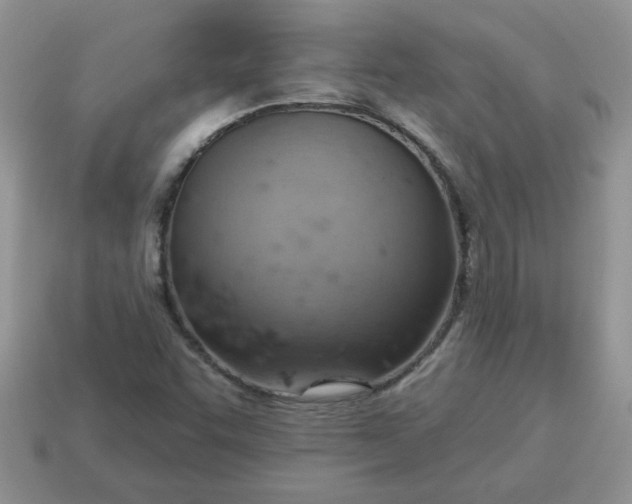 X0000115031455200911091333