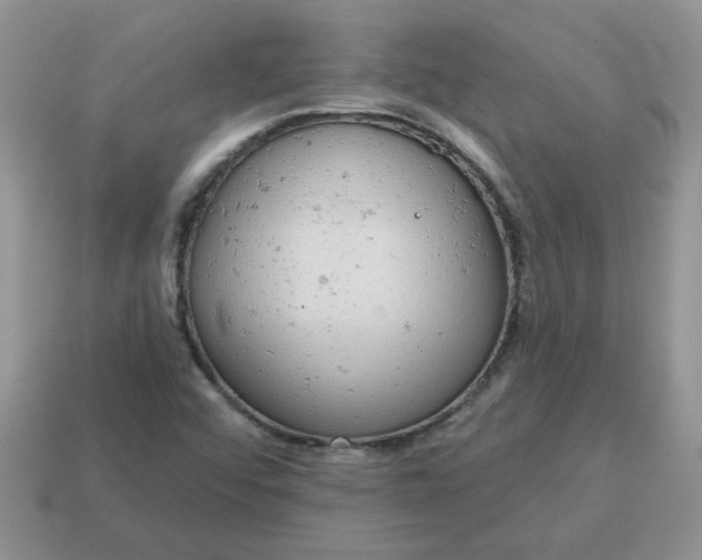 X0000115031456200911091332