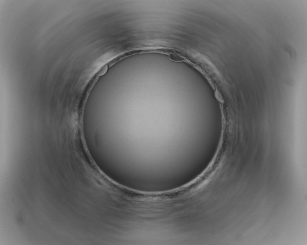 X0000115031457200911091332