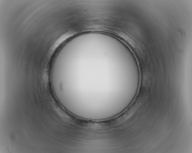 X0000115031458200911091332