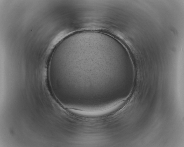 X0000115031459200911091332