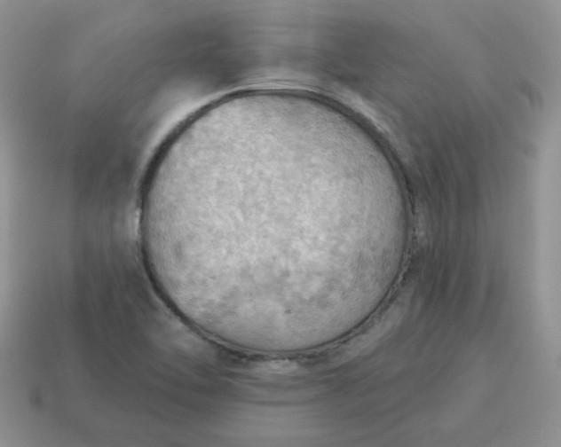 X0000115031462200911091332