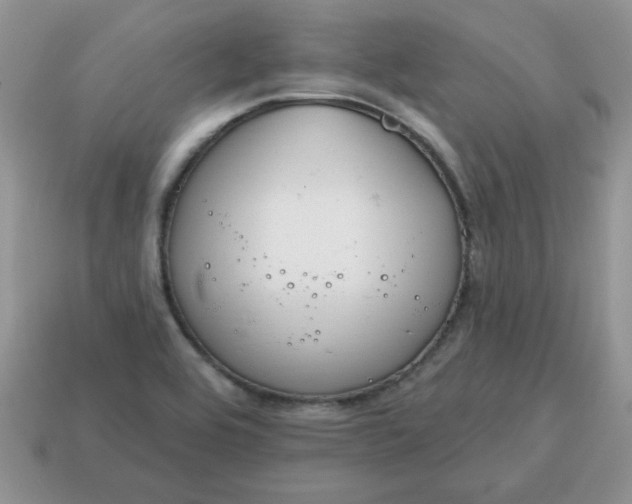 X0000115031464200911091332