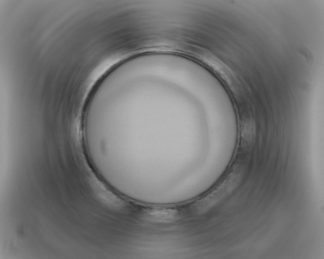 X0000115031466200911091332