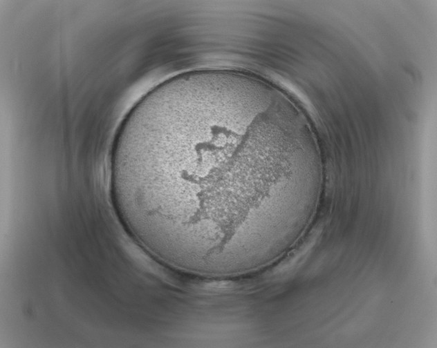 X0000115031467200911091332