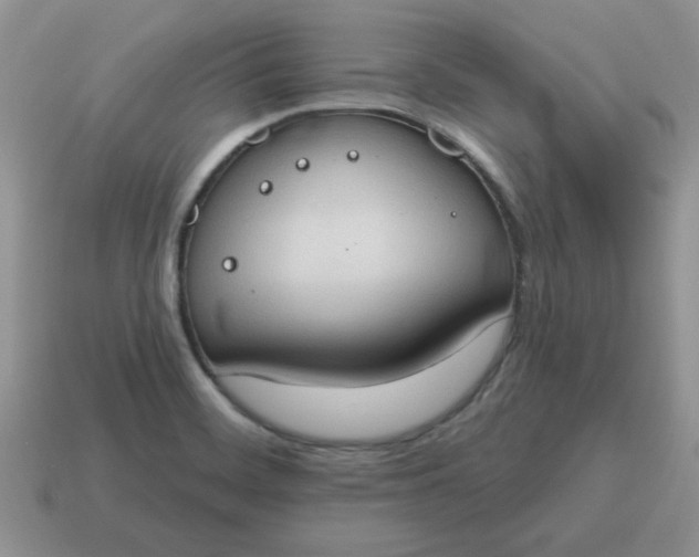 X0000115031468200911091332