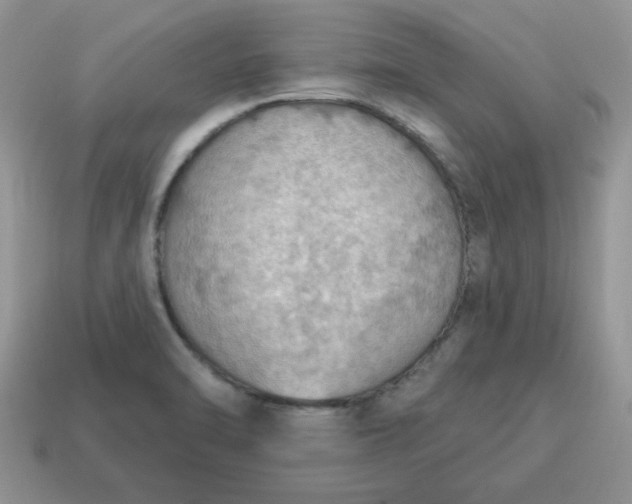 X0000115031470200911091332